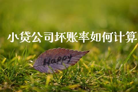小贷公司坏账率如何计算_https://m.qmgjg.com_资金管理_第1张