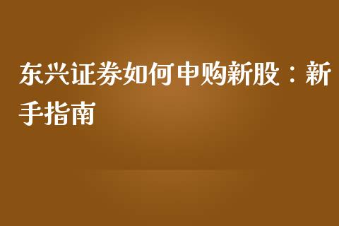 东兴证券如何申购新股：新手指南_https://m.qmgjg.com_金融市场_第1张