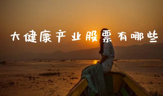 大健康产业股票有哪些_https://m.qmgjg.com_投资银行_第1张