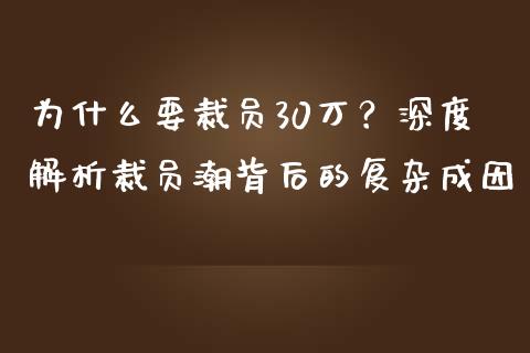 为什么要裁员30万？深度解析裁员潮背后的复杂成因_https://m.qmgjg.com_货币基金_第1张