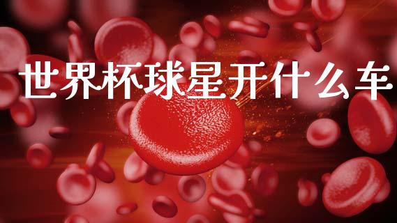 世界杯球星开什么车_https://m.qmgjg.com_投资银行_第1张
