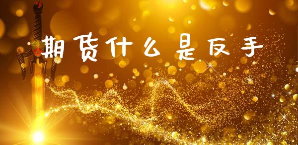 期货什么是反手_https://m.qmgjg.com_货币基金_第1张