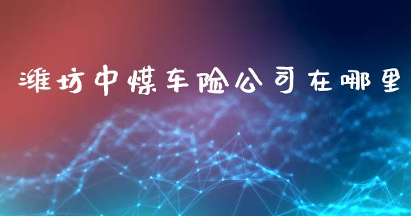 潍坊中煤车险公司在哪里_https://m.qmgjg.com_投资银行_第1张