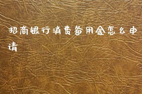 招商银行消费备用金怎么申请_https://m.qmgjg.com_资金管理_第1张