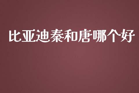 比亚迪秦和唐哪个好_https://m.qmgjg.com_金融市场_第1张