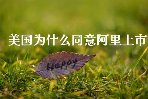 美国为什么同意阿里上市_https://m.qmgjg.com_金融市场_第1张