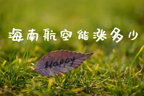 海南航空能涨多少_https://m.qmgjg.com_金融市场_第1张