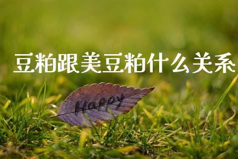 豆粕跟美豆粕什么关系_金融市场_第1张_资金管理_投资银行_金融市场_货币基金 豆粕跟美豆粕什么关系_https://m.qmgjg.com_金融市场_第1张