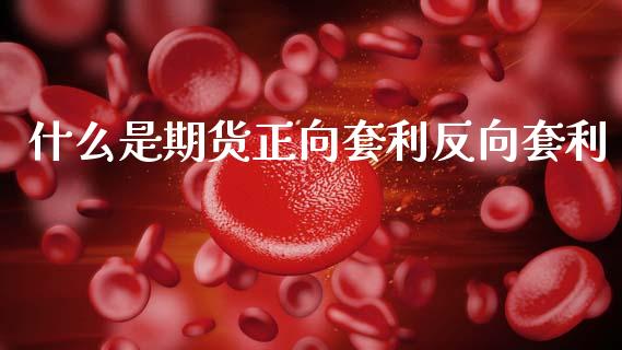 什么是期货正向套利反向套利_https://m.qmgjg.com_资金管理_第1张