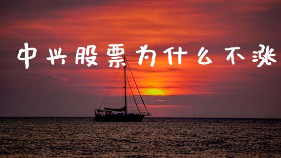 中兴股票为什么不涨_https://m.qmgjg.com_资金管理_第1张