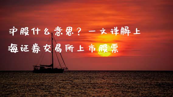 沪股什么意思？一文详解上海证券交易所上市股票_https://m.qmgjg.com_金融市场_第1张