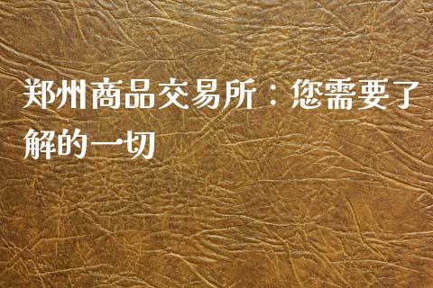 郑州商品交易所:您需要了解的一切_货币基金_第1张_资金管理_投资银行_金融市场_货币基金 郑州商品交易所:您需要了解的一切_https://m.qmgjg.com_货币基金_第1张