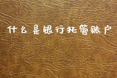 什么是银行托管账户_https://m.qmgjg.com_货币基金_第1张