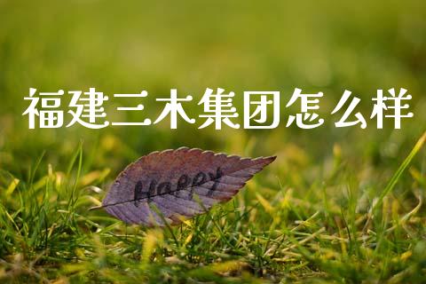 福建三木集团怎么样_https://m.qmgjg.com_投资银行_第1张