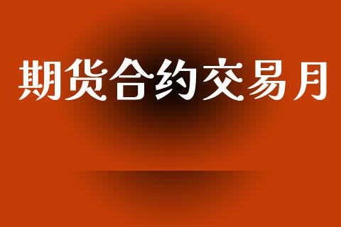 期货合约交易月_https://m.qmgjg.com_货币基金_第1张