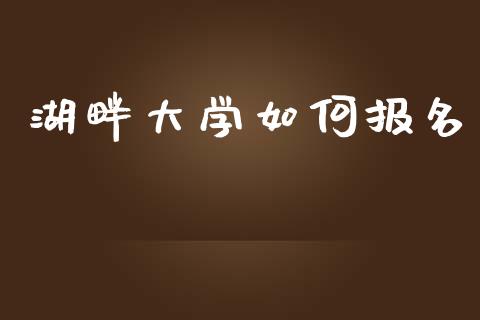 湖畔大学如何报名_https://m.qmgjg.com_资金管理_第1张