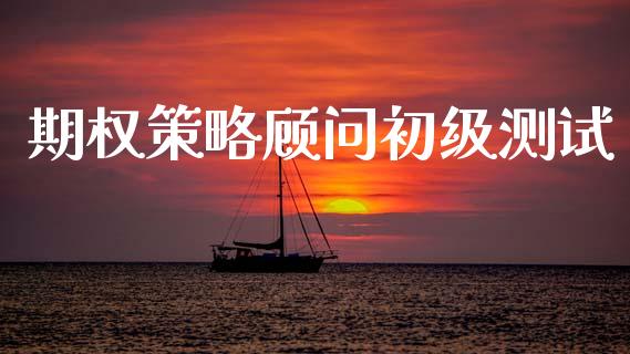 期权策略顾问初级测试_https://m.qmgjg.com_货币基金_第1张