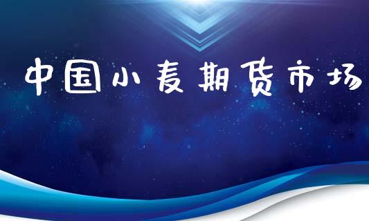 中国小麦期货市场_https://m.qmgjg.com_货币基金_第1张