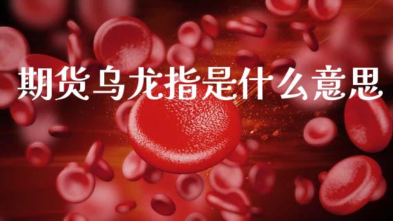 期货乌龙指是什么意思_https://m.qmgjg.com_资金管理_第1张