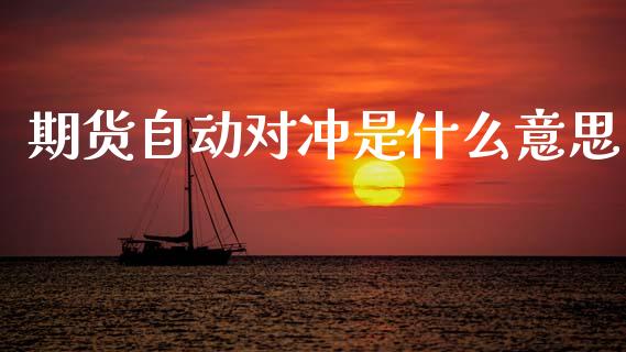 期货自动对冲是什么意思_https://m.qmgjg.com_货币基金_第1张