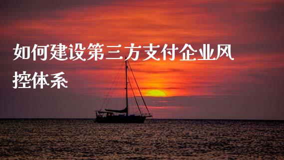 如何建设第三方支付企业风控体系_https://m.qmgjg.com_投资银行_第1张