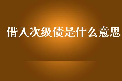借入次级债是什么意思_https://m.qmgjg.com_货币基金_第1张