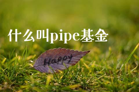 什么叫pipe基金_https://m.qmgjg.com_金融市场_第1张