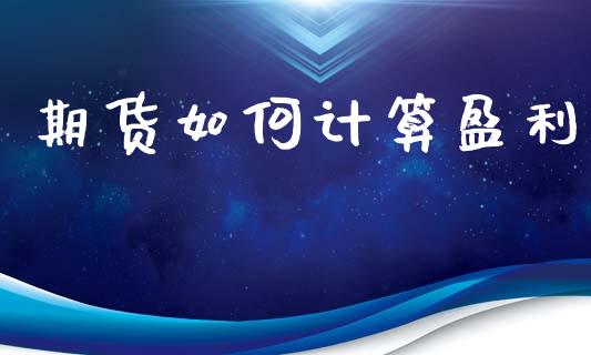 期货如何计算盈利_https://m.qmgjg.com_货币基金_第1张