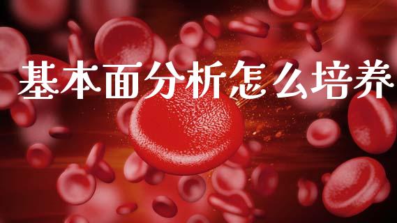 基本面分析怎么培养_https://m.qmgjg.com_资金管理_第1张