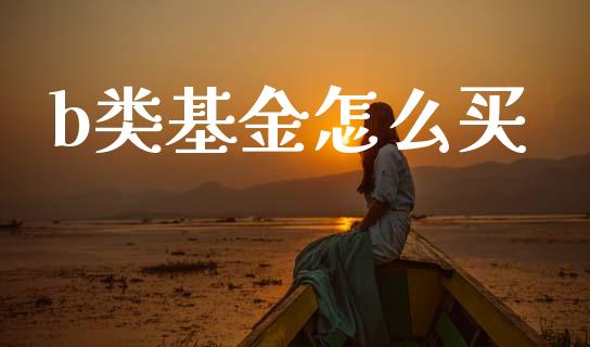 b类基金怎么买_https://m.qmgjg.com_货币基金_第1张