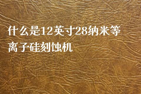 什么是12英寸28纳米等离子硅刻蚀机_https://m.qmgjg.com_投资银行_第1张
