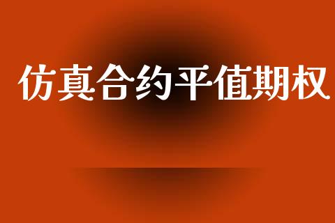 仿真合约平值期权_https://m.qmgjg.com_投资银行_第1张