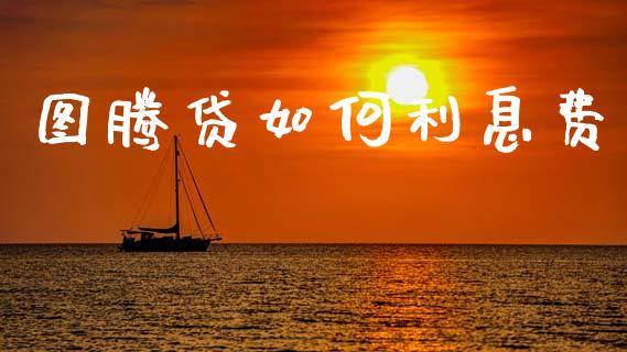 图腾贷如何利息费_https://m.qmgjg.com_金融市场_第1张