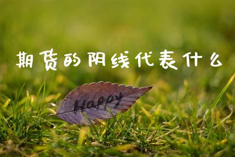 期货的阴线代表什么_投资银行_第1张_资金管理_投资银行_金融市场_货币基金 期货的阴线代表什么_https://m.qmgjg.com_投资银行_第1张