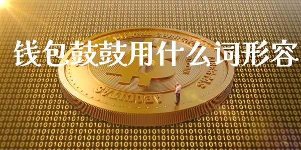 钱包鼓鼓用什么词形容_https://m.qmgjg.com_货币基金_第1张