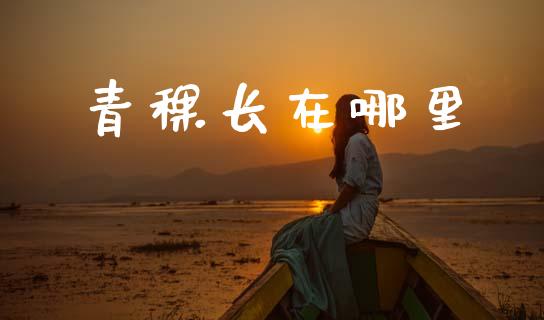 青稞长在哪里_https://m.qmgjg.com_投资银行_第1张