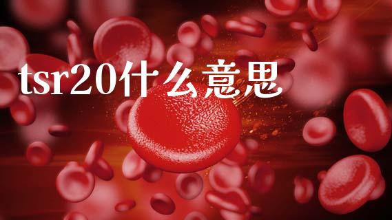 tsr20什么意思_https://m.qmgjg.com_金融市场_第1张