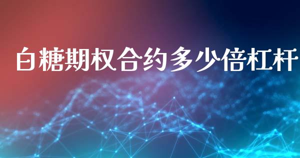 白糖期权合约多少倍杠杆_https://m.qmgjg.com_资金管理_第1张