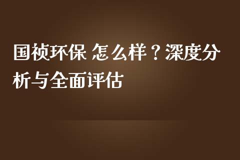 国祯环保 怎么样？深度分析与全面评估_https://m.qmgjg.com_金融市场_第1张