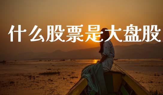 什么股票是大盘股_https://m.qmgjg.com_货币基金_第1张