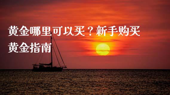 黄金哪里可以买？新手购买黄金指南_https://m.qmgjg.com_投资银行_第1张
