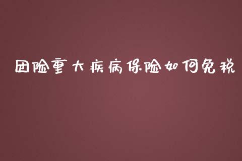 团险重大疾病保险如何免税_https://m.qmgjg.com_资金管理_第1张