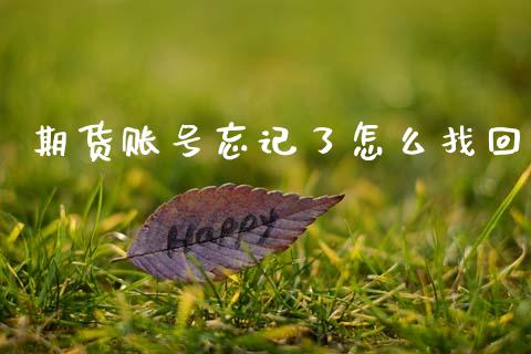 期货账号忘记了怎么找回_https://m.qmgjg.com_货币基金_第1张