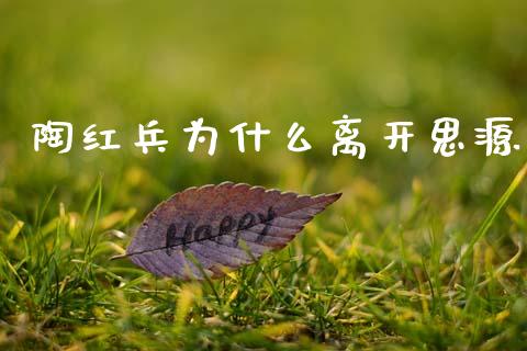 陶红兵为什么离开思源_https://m.qmgjg.com_资金管理_第1张