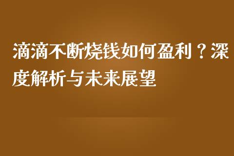 滴滴不断烧钱如何盈利？深度解析与未来展望_https://m.qmgjg.com_资金管理_第1张
