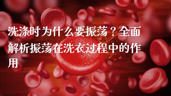 洗涤时为什么要振荡？全面解析振荡在洗衣过程中的作用_https://m.qmgjg.com_金融市场_第1张