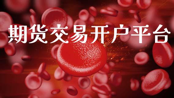 期货交易开户平台_https://m.qmgjg.com_货币基金_第1张