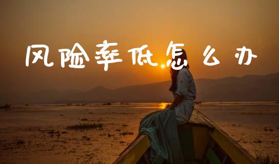 风险率低怎么办_https://m.qmgjg.com_金融市场_第1张