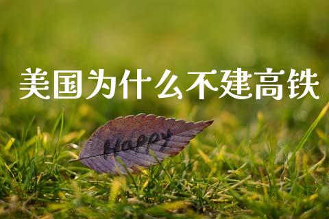 美国为什么不建高铁_https://m.qmgjg.com_资金管理_第1张
