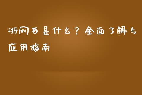 浙网石是什么？全面了解与应用指南_https://m.qmgjg.com_投资银行_第1张